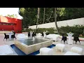 Tijuana Marriott Hotel Mexico