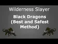 Wilderness Slayer - Black Dragons Best and Safest Method