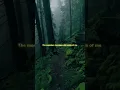 Download Lagu faded x alone pt 2 - Alan Walker | lyrics | aesthetic | whatsapp Status | slowed | speed up 💕💕