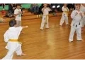 Karate Kid Class Vines Animated Gif with Sound Funny
