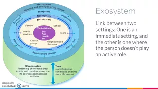 Bronfenbrenner s ecological theory