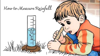 How to Measure Rainfall Fun Science for Kids