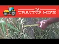 Five Things to Consider When Shopping for a Brush Cutter