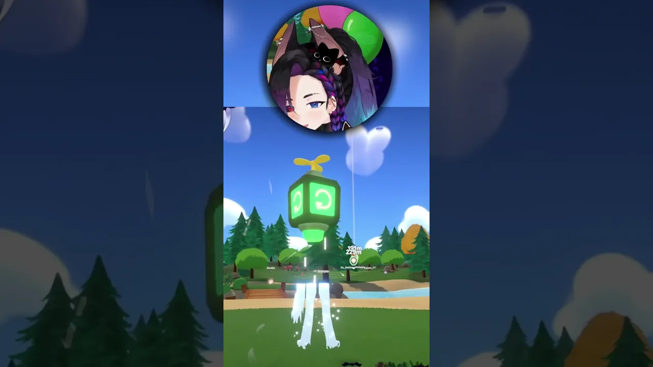 Video