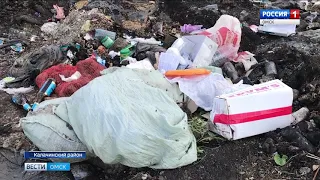 Калачинскому району из-за гигантской свалки может грозить экологическая катастрофа