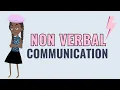Non Verbal Communication at Work