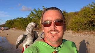 GRATEFUL Challenge 2015 – Day 4 – Beach Walk in Trellis Bay, British Virgin Islands, CARIBBEAN