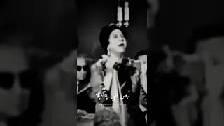 أم كلثوم وأبتدى قلبي يذوبني بآهاته وأبتدى الليل يبقى أطول من ساعاته كوكب الشرق فكروني ستوري 