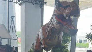 Museum