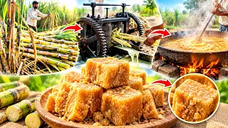 गुड़ कैसे बनता है 🤔 |गन्ने से गुड़ बनाने की पूरी प्रक्रिया | Jaggery Making Process in India 🌾