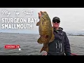 My Favorite Sturgeon Bay Smallmouth Baits