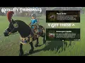 How to Beat the Horseback Obstacle Course How to Obtain the Extravagant Saddle and Bridle