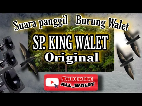 Download MP3 SUARA PANGGIL BURUNG WALET SP. KING WALET ORIGINAL @ALL_WALET