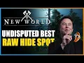 New World - INSANE Raw Hide Farm 80 Raw Hide Per Skin Get On Before Its Nerfed Best Spot