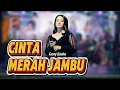 Lagu Cinta Merah Jambu - Deny Sasha || DELLIZTA MUSIK
