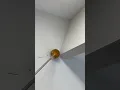 Spider Webs in Garage
