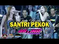 Download Lagu SANTRI PEKOK || SHINTA ARSINTA GOYANG ESEK ESEK || NEW ASTINA DHEHAN AUDIO