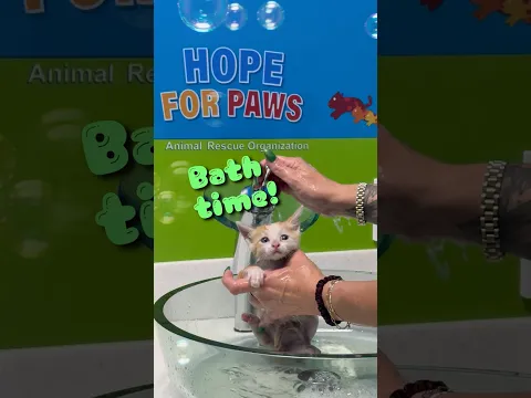 Bath time