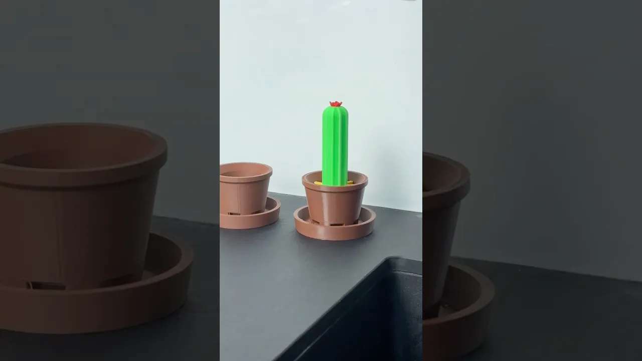 Cactus Bottle Drying Rack | Kitchen Organizer video thumbnail
