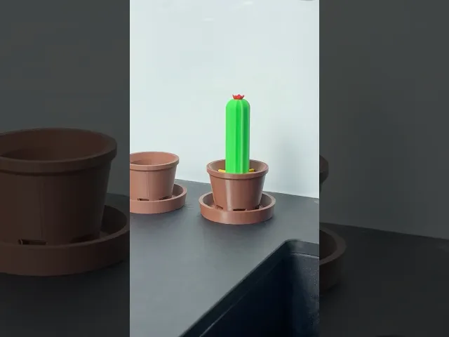 Cactus Bottle Drying Rack | Kitchen Organizer video thumbnail