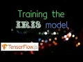 TensorFlow js Iris example part 3 - Creating the model and Training against the data