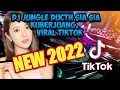 Download Lagu DJ JUNGLE DUCTH NEW 2022 SIA SIA KU BERJUANG