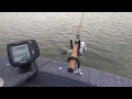 Review Amazon Rod Holders - Dasmarine