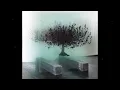 Simon Goff & Dobrawa Czocher - Appearing