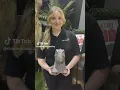 Jurassic World Rebirth at Cinema Camp LAnding