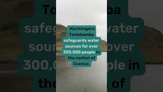 Machángara Tomebamba In Ecuador Is Now Nationally Protected Shorts 