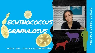 Aula sobre Echinococcus granulosus (Hidatidose e Equinococose)