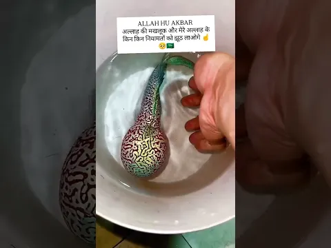 अल्लाह के अजूब मखलूक mashallah allahumma