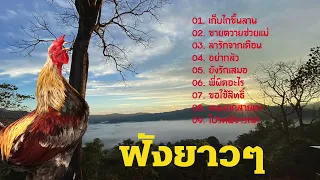 ฟังยาวๆ เก็บไถขึ้นลาน/ขายควายช่วยแม่/ลารักจากเดือน