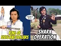 Lagu Wu Tang Collection - King of Fists and Dollars  Shark Operation