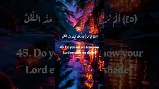 چه کسی آرزوی او را خدای خود قرار داد من اتخذ إلهه هواه قرآن القرآن الكريم Quran Shorts Viralvideo 