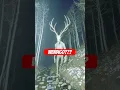 Wendigo Cam Footage!!   #strangeai #cryptid #wendigo