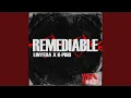 Download Lagu REMEDIABLE (Remix)