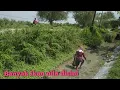 Download Lagu Cari ikan di sungai pinggir jalan raya yang mengering dapat banyak ikan nila