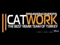 Download Lagu Catwork Remix Enginiers - Turkish Beach
