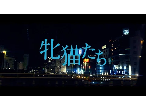 白石和彌監督『牝猫たち』予告編