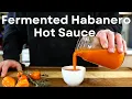 Download Lagu Lacto Femented Habanero Hot Sauce | Easy, Homemade Hot Sauce Recipe 🔥