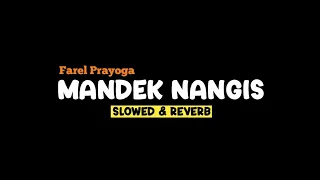 mandek nangis farel prayoga slowed reverb lirik ssm