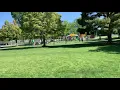 Stockton - off leash