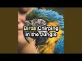 Download Lagu Bird Ambient