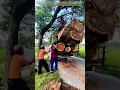 Download Lagu Ingenious Log Loading: How to Move Heavy Wood Like a Pro