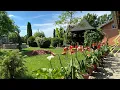 Download Lagu Amarilisi , Jasmin , Orlovi nokti , Kale itd u punom cvetu , moje dvorište / my garden ideas ☀️🔝✌️