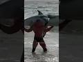 Download Lagu Brock Lesnar F5’s a SHARK 😱👀