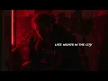 Post Malone - Falling Through Neon