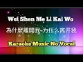 Download Lagu Wei Shen Me Li Kai Wo 為什麼離開我 / 为什么离开我 karaoke no vocal
