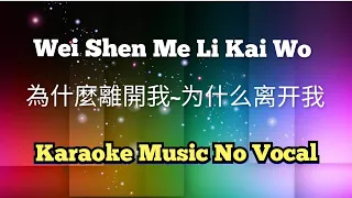Download Wei Shen Me Li Kai Wo 為什麼離開我 / 为什么离开我 karaoke no vocal MP3